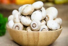 Mushrooms Vegetarian Or Non-Vegetarian