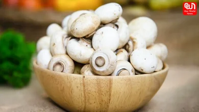 Mushrooms Vegetarian Or Non-Vegetarian