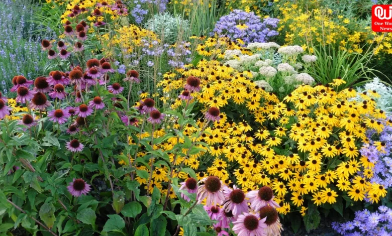 new flowering plants varieties, best flowers for home garden, seasonal flowering plants ideas, easy to grow flowering plants, gardening trends flowers