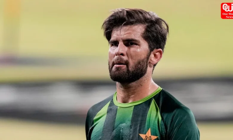 Shaheen Afridi Slapped, PKR