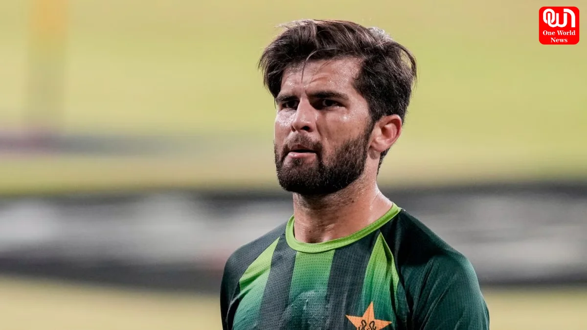 Shaheen Afridi Slapped, PKR