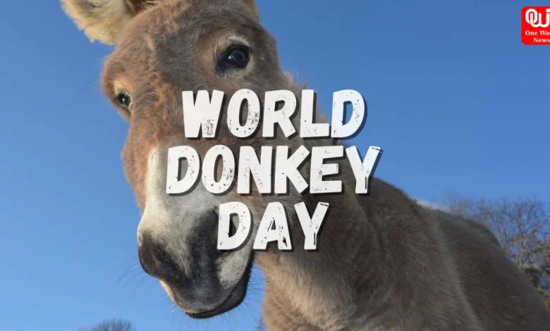 World Donkey Day 2026