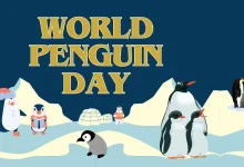 World Penguin Day 2026