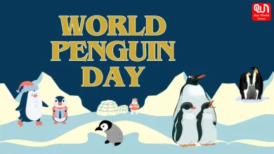 World Penguin Day 2026