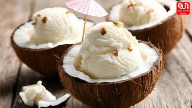 Coconut Creamy Ice Cream