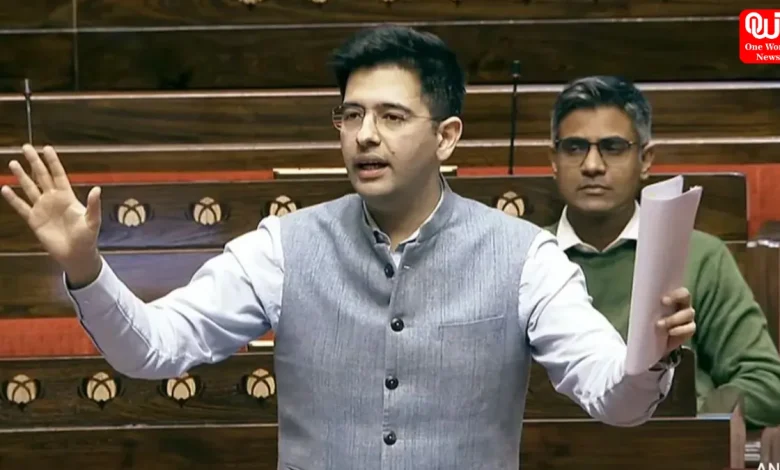Raghav Chadha, Rajya Sabha,