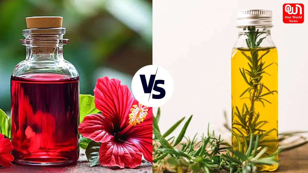 Rosemary oil, Hibiscus Oil, Hair Growth