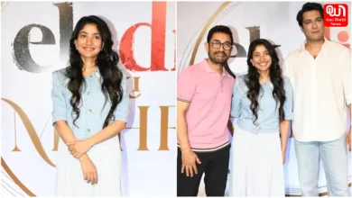 Sai Pallavi Hindi Debut With Aamir Khan
