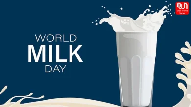 World Milk Day 2026