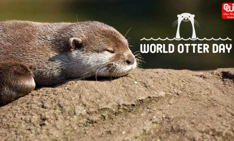 World Otter Day 2026