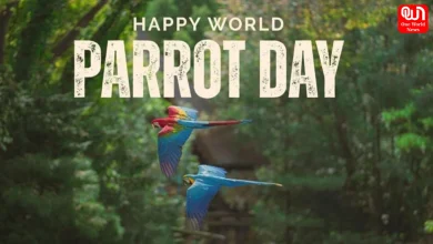 World Parrot Day 2026