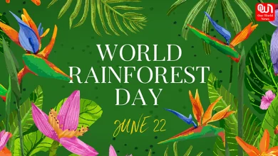 World Rainforest Day 2026 highlights rainforest importance, climate impact & ways to protect biodiversity for a sustainable future globally.