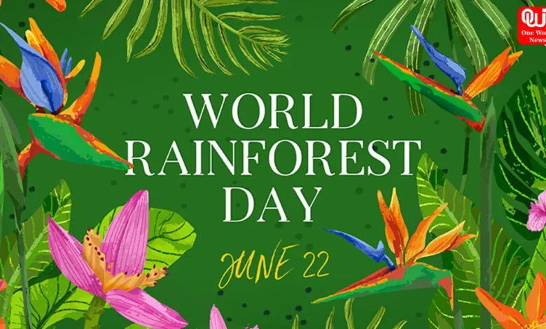 World Rainforest Day 2026 highlights rainforest importance, climate impact & ways to protect biodiversity for a sustainable future globally.
