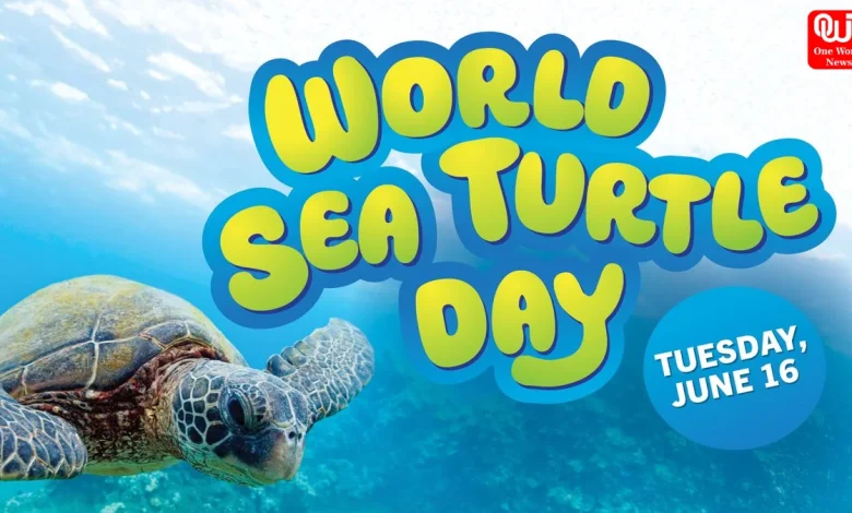 World Sea Turtle Day 2026