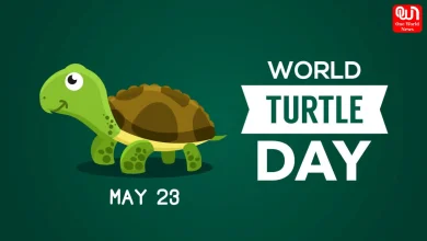 World Turtle Day 2026
