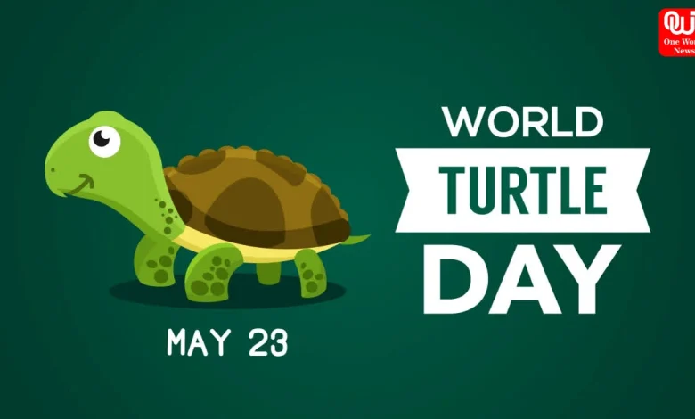 World Turtle Day 2026