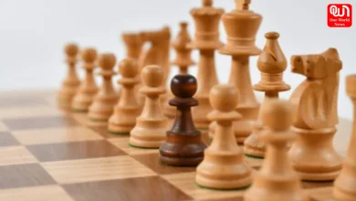 International Chess Day 2026
