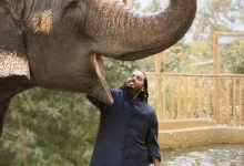SC Dismisses Plea To Reopen Vantara Wildlife
