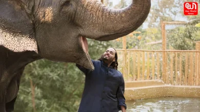SC Dismisses Plea To Reopen Vantara Wildlife