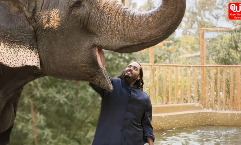 SC Dismisses Plea To Reopen Vantara Wildlife