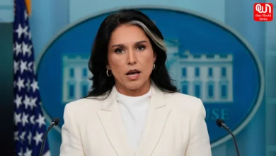 Tulsi Gabbard Resigns Trump Intelligence Chief