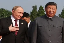 When will the BRICS Summit in Delhi take place?