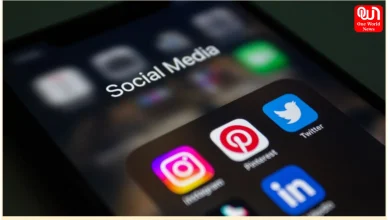 Beginners Grow on Instagram