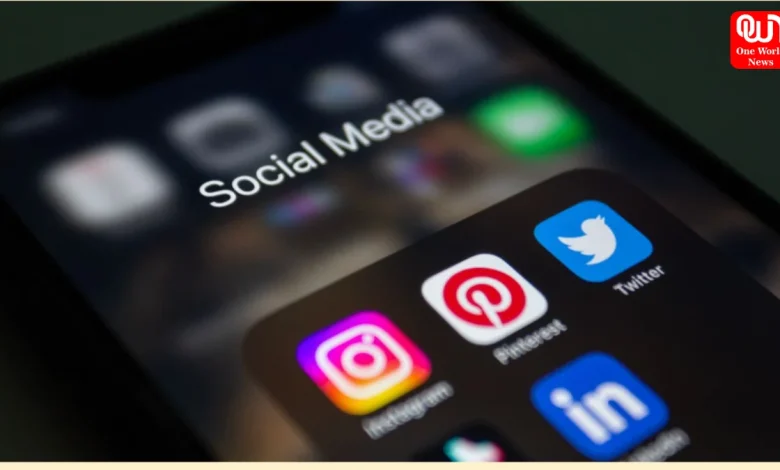 Beginners Grow on Instagram