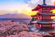 Japan Tour