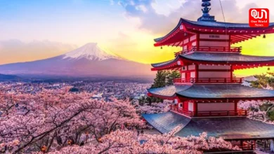 Japan Tour