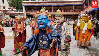 Hemis Festival 202