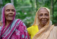 Widow Pension Schemes