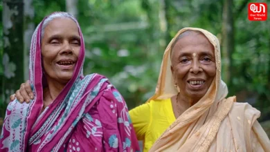 Widow Pension Schemes