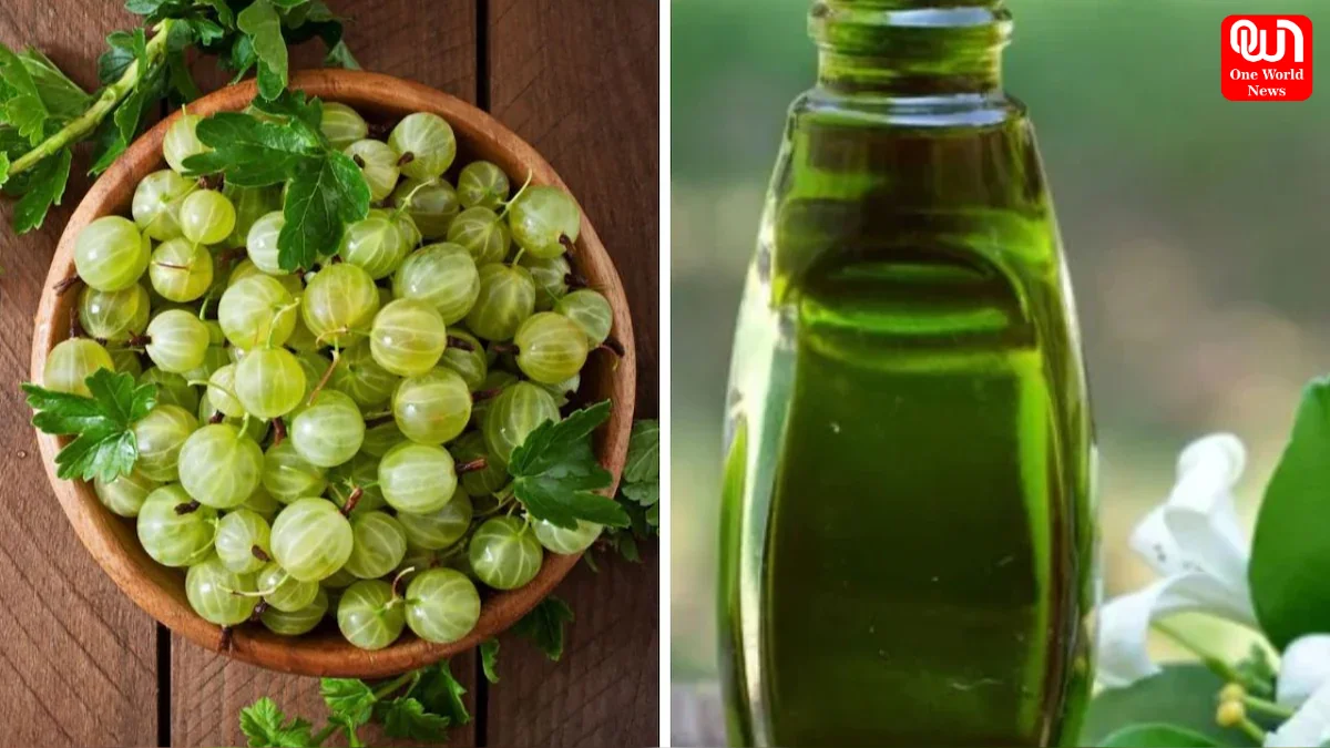 Amla Oil vs Bhringraj Oil
