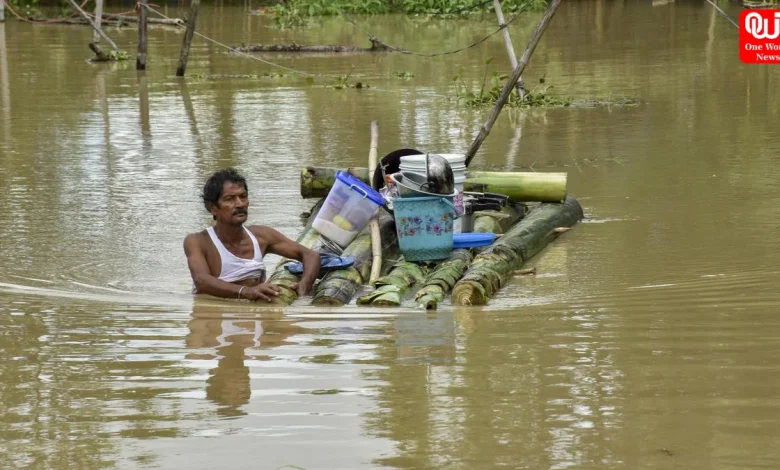 Assam Floods, Assam, flood crisis, death toll, DRIMS, Sivasagar, Dhansiri River, relief efforts