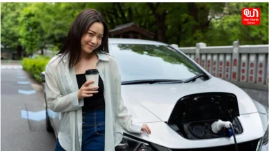 car insurance