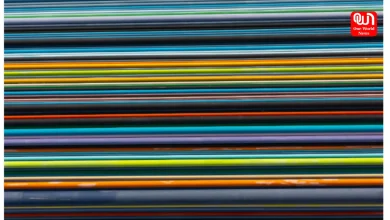 Material Evolution