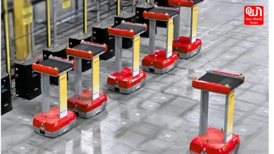 Auto Sorting Systems